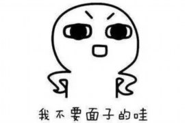 武城专业讨债公司有哪些核心服务？